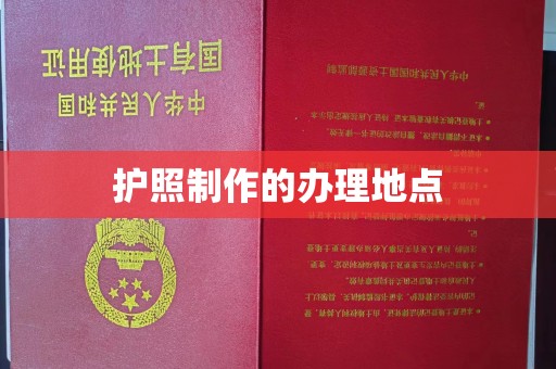 上街护照制作的办理地点