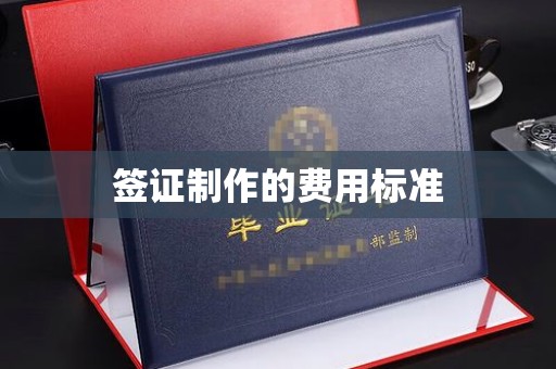 上街签证制作的费用标准
