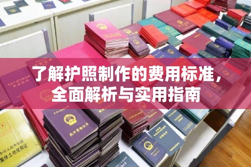 上街了解护照制作的费用标准，全面解析与实用指南