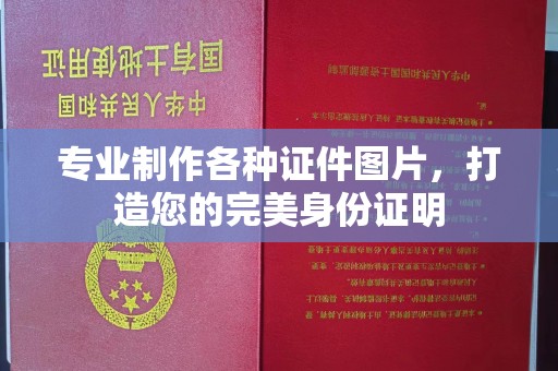 上街专业制作各种证件图片，打造您的完美身份证明