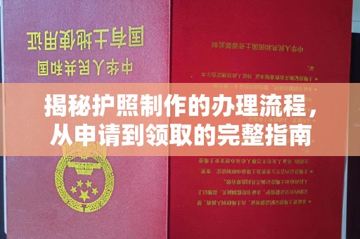 上街揭秘护照制作的办理流程，从申请到领取的完整指南