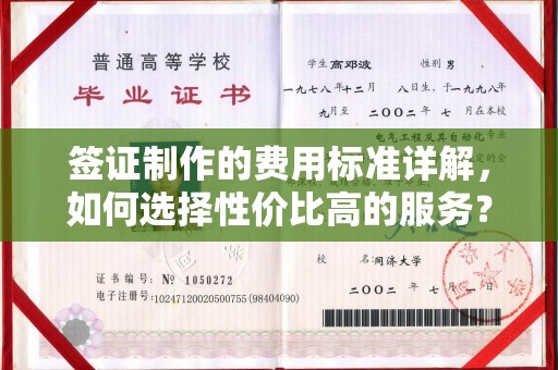 上街签证制作的费用标准详解，如何选择性价比高的服务？