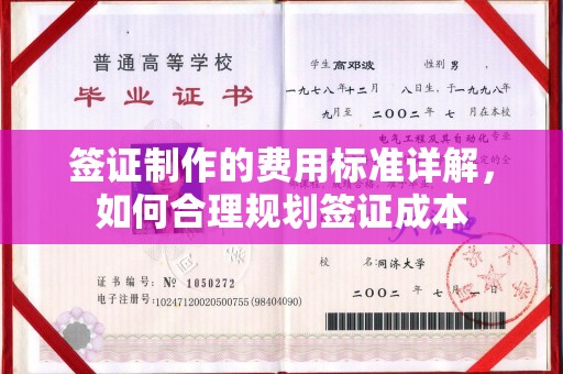 上街签证制作的费用标准详解，如何合理规划签证成本